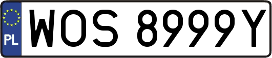 WOS8999Y