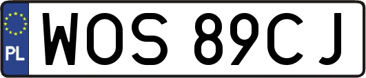 WOS89CJ