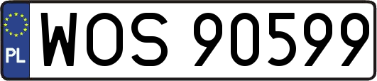 WOS90599