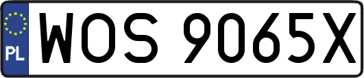 WOS9065X