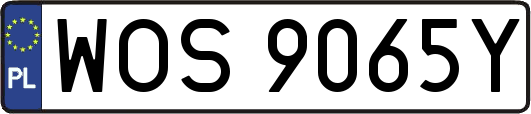 WOS9065Y