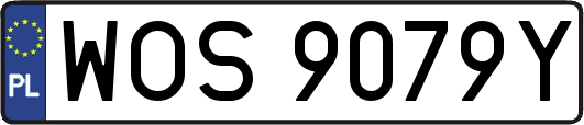 WOS9079Y