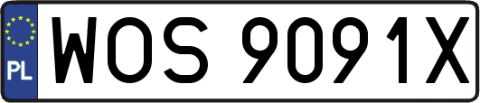 WOS9091X