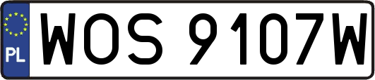 WOS9107W