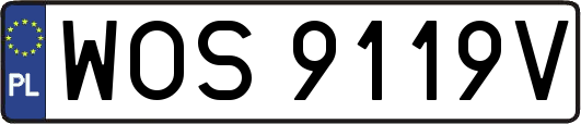 WOS9119V