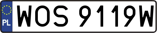 WOS9119W