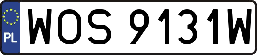 WOS9131W