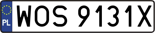 WOS9131X