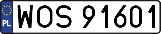 WOS91601