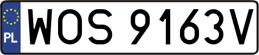 WOS9163V
