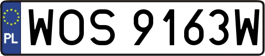 WOS9163W