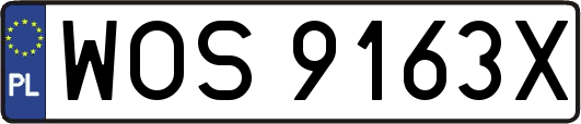 WOS9163X