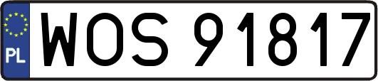 WOS91817