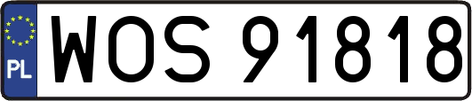 WOS91818