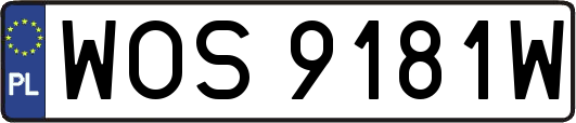 WOS9181W