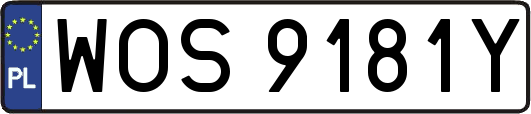 WOS9181Y
