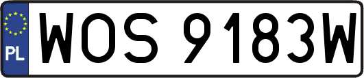 WOS9183W