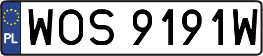 WOS9191W