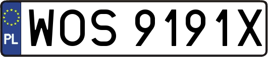 WOS9191X