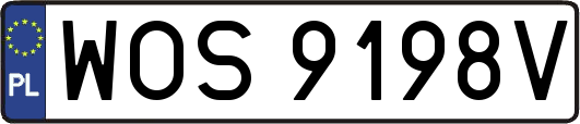 WOS9198V