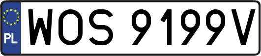 WOS9199V