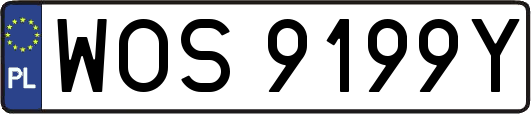 WOS9199Y