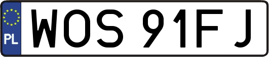 WOS91FJ