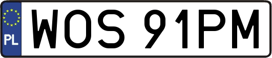 WOS91PM