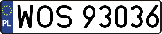 WOS93036