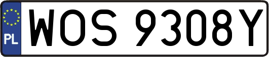 WOS9308Y