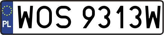 WOS9313W