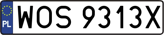 WOS9313X