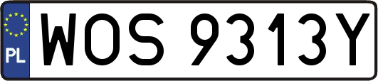 WOS9313Y