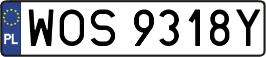 WOS9318Y