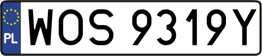 WOS9319Y