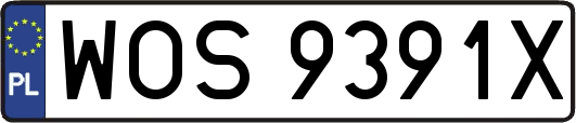 WOS9391X