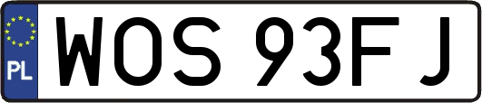 WOS93FJ
