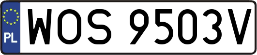 WOS9503V