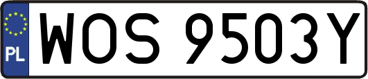 WOS9503Y