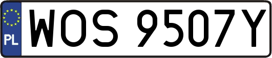 WOS9507Y