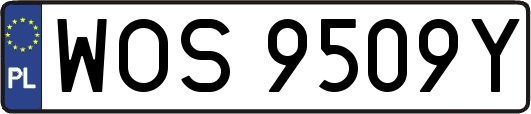 WOS9509Y