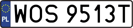 WOS9513T
