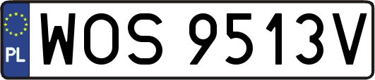 WOS9513V