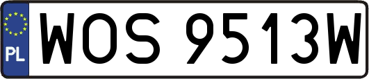 WOS9513W