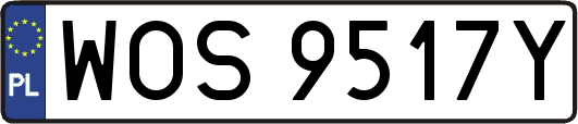 WOS9517Y