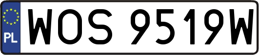 WOS9519W