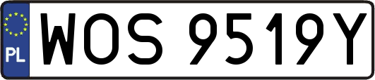 WOS9519Y