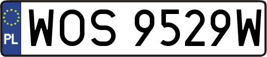 WOS9529W