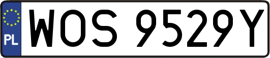 WOS9529Y
