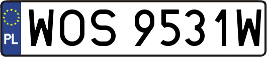 WOS9531W